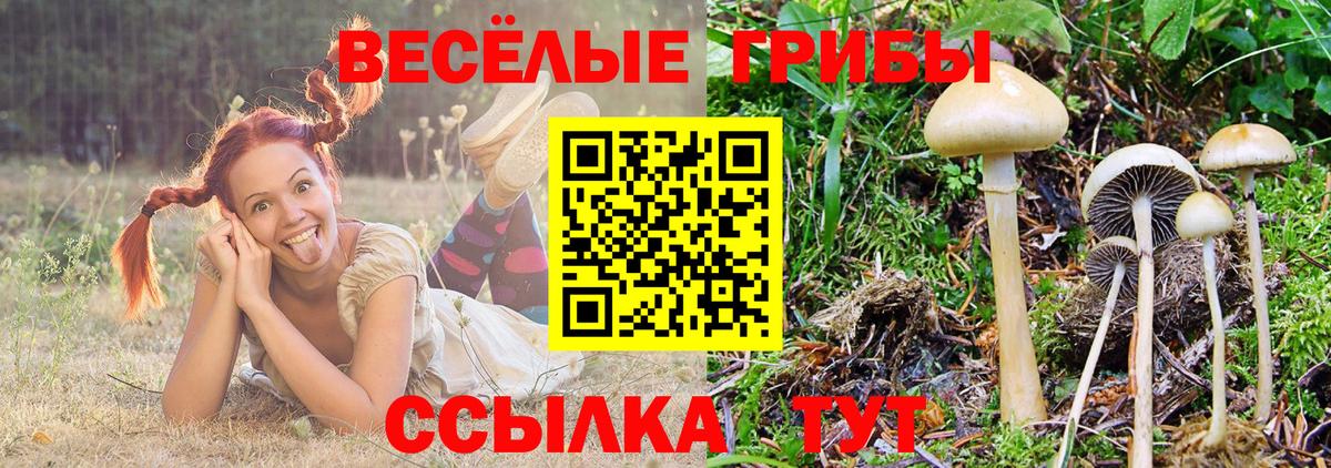 Псилоцибиновые грибы мухоморы Кызыл