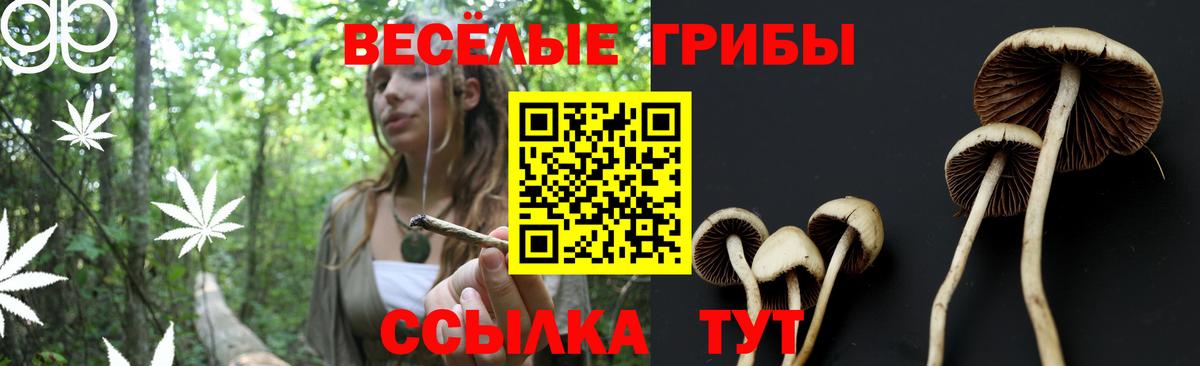Кызыл  Псилоцибиновые грибы Cubensis  Галлюциногенные грибы MAGIC MUSHROOMS  Вход с VPN 